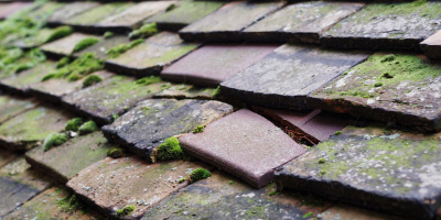 Ham Green roof repair costs